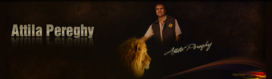 attila pereghy