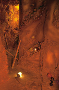 Опал-Экспресс